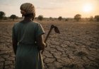 Kenya's Deepening Drought: Economic Storm Looms as Rains Fail