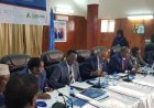 How Business and Government Shape Policy in Africa