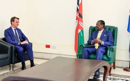 Kenya and India Forge Ahead with Bilateral Trade Agreement Negotiations