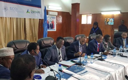 How Business and Government Shape Policy in Africa