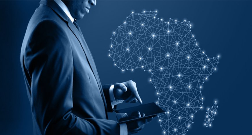 How Business and Government Shape Policy in Africa