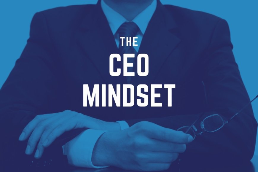 Soft Life is Cute. Structured Life is Profitable.