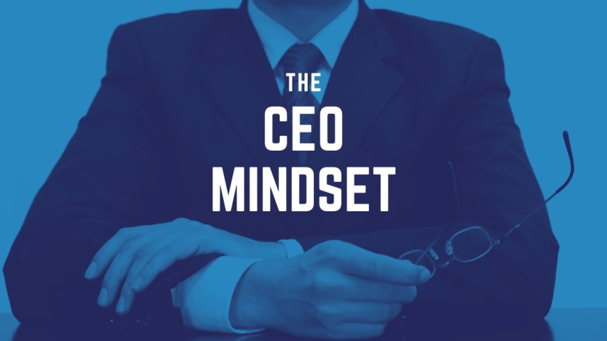 Soft Life is Cute. Structured Life is Profitable.