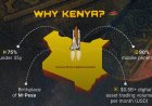 What Is the Kenya Digital Token and Why It Matters Now