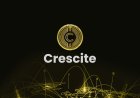 Crescite and Solana Spaces Lead Africa’s Blockchain Transformation