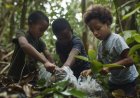 How Blockchain Could Protect Africa’s Environment