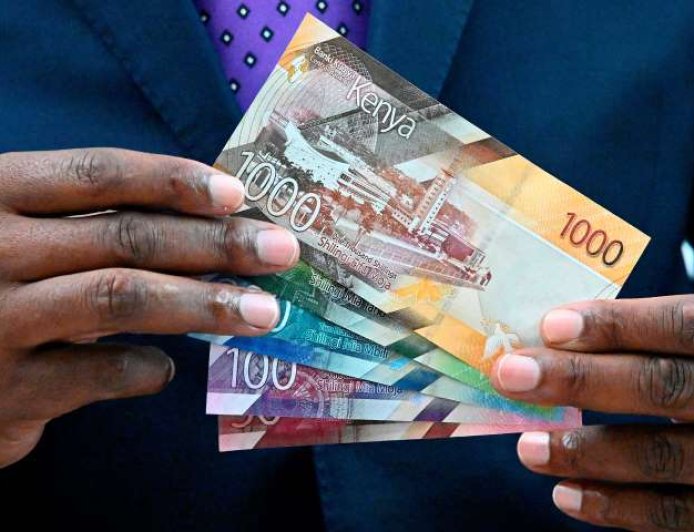Breaking Down the $15,500 Model: How the Kenya Token Generates Returns