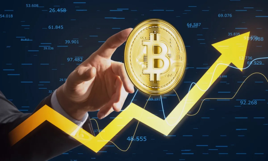 Policy, Regulation, and the Future of Blockchain in Africa